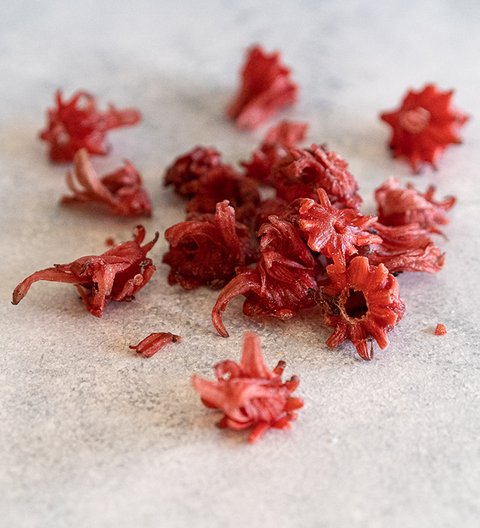 Hibiscus - Flor de Jamaica