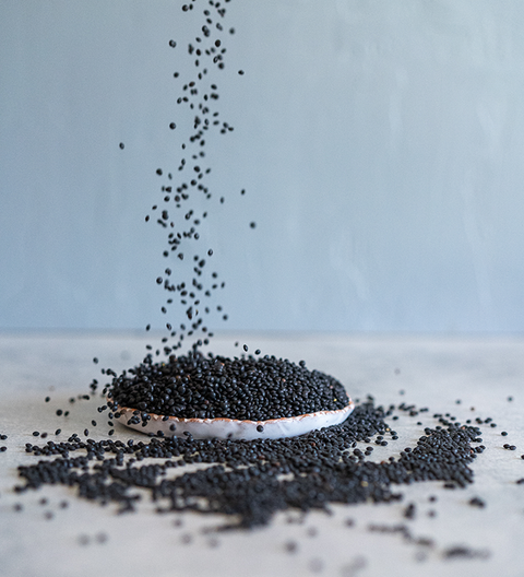 Sésamo negro